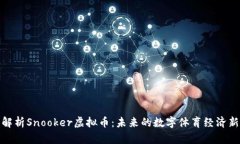 全面解析Snooker虚拟币：未