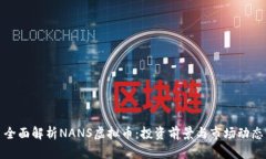 全面解析NANS虚拟币：投资