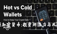 小面额加密货币：投资的