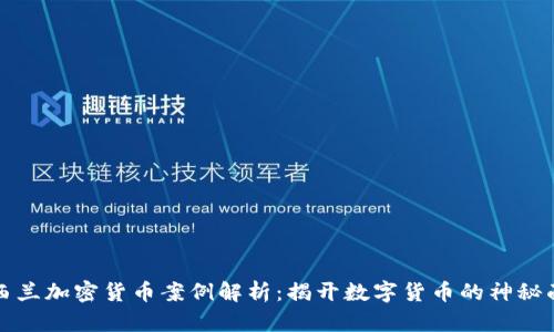 新西兰加密货币案例解析：揭开数字货币的神秘面纱