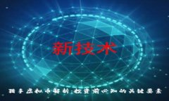 猎手虚拟币解析：投资前必知的关键要素