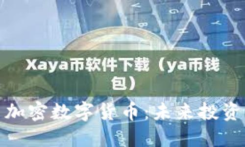 淡马锡与加密数字货币：未来投资的新机遇