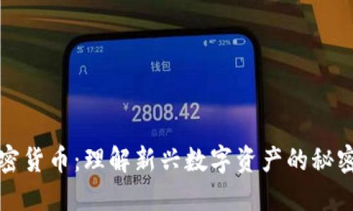 蒸发加密货币：理解新兴数字资产的秘密与风险