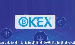 XEL虚拟币：未来数字货币的明星，投资者必看