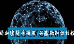 全面解析加密货币项目：