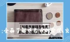 中巴币虚拟币：全面了解