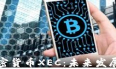 深入了解加密货币XEC：未来发展与投资机会