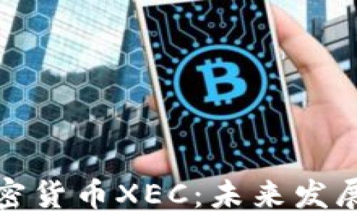 
深入了解加密货币XEC：未来发展与投资机会