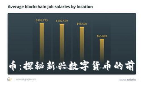 Tcyy虚拟币：探秘新兴数字货币的前景与风险