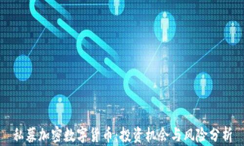 
私募加密数字货币：投资机会与风险分析