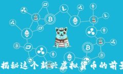   兔子币：揭秘这个新兴虚
