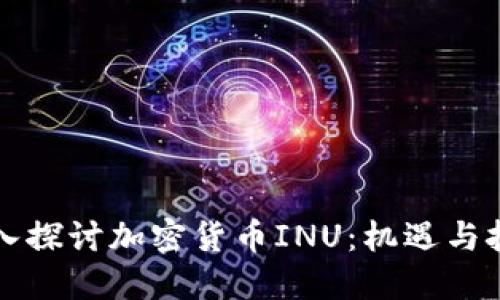 深入探讨加密货币INU：机遇与挑战