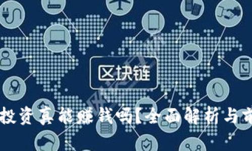 虚拟币投资真能赚钱吗？全面解析与前景展望
