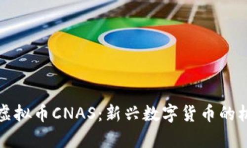 深入解析虚拟币CNAS：新兴数字货币的机遇与挑战