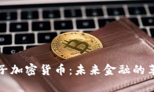 欧盟电子加密货币：未来金融的革命之路