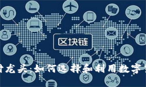 加密货币支付龙头：如何选择和利用数字货币进行支付
