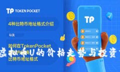 2023年虚拟币U的价格走势与