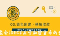 美国证监会（SEC）关于加