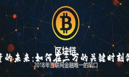 : 虚拟币投资的未来：如何在三万的关键时刻做出明智选择