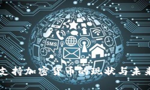 国家支持加密货币的现状与未来展望