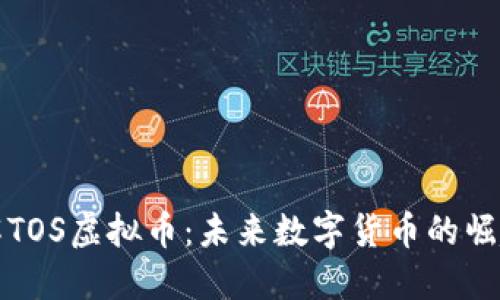 深入了解TOS虚拟币：未来数字货币的崛起与挑战