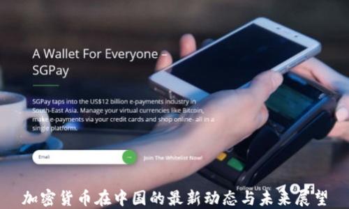 
加密货币在中国的最新动态与未来展望