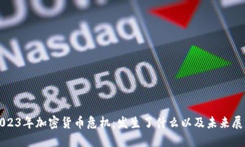 2023年加密货币危机：发生了什么以及未来展望