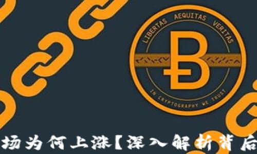 
加密货币市场为何上涨？深入解析背后的驱动因素
