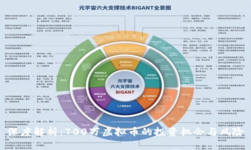 深度解析：700万虚拟币的投资机会与风险