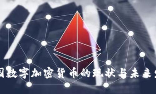 美国数字加密货币的现状与未来发展