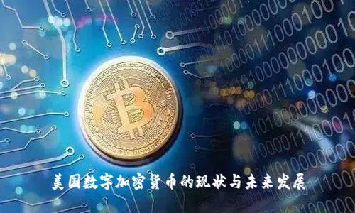美国数字加密货币的现状与未来发展
