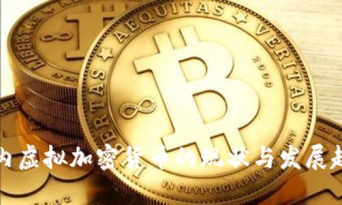 国内虚拟加密货币的现状与发展趋势