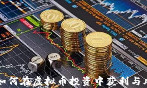 
大学生如何在虚拟币投资中获利与风险分析