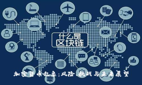 加密货币乱象：风险、挑战与未来展望
