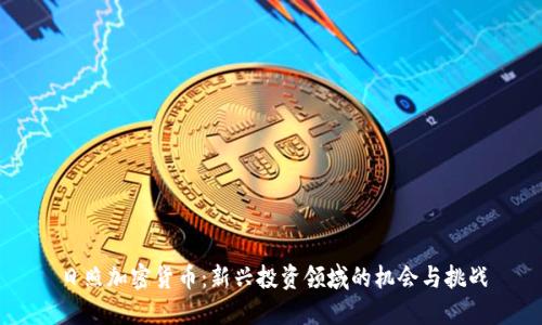 日照加密货币：新兴投资领域的机会与挑战