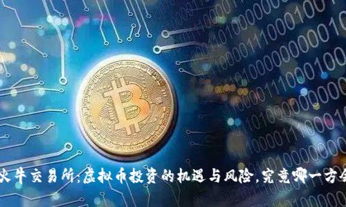 fiaoti火牛交易所：虚拟币投资的机遇与风险，究竟哪一方会胜出？