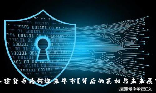 加密货币为何迎来牛市？背后的真相与未来展望