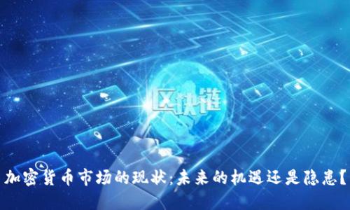 加密货币市场的现状：未来的机遇还是隐患？