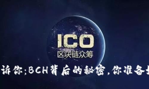 正
比太钱包告诉你：BCH背后的秘密，你准备好迎接了吗？
