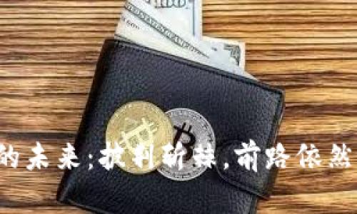 加密货币的未来：披荆斩棘，前路依然迷雾重重！