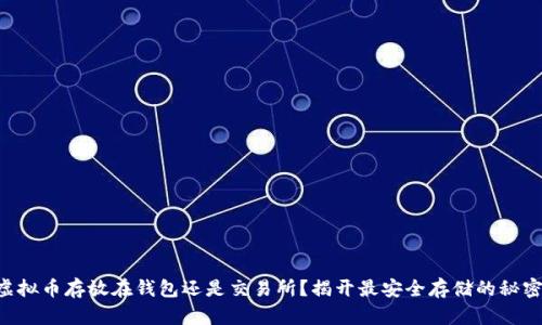 虚拟币存放在钱包还是交易所？揭开最安全存储的秘密！