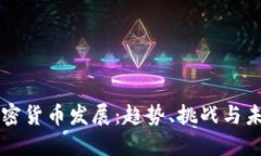 全球加密货币发展：趋势、挑战与未来展望