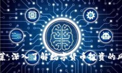 虚拟币泡菜：深入了解数字货币投资的风险与机